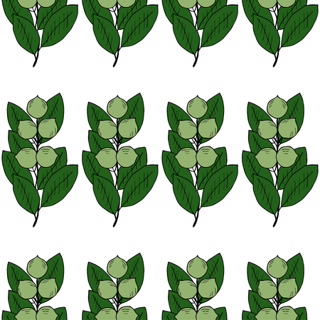 Tamanu tree (Calophyllum inophyllum). Nuts, plant, berry. Hand drawn sketch seamless pattern. Treatment, organic cosmetics ingredient, oil.  For textile, wallpaper, covers, surface, print, wrapping.のイラスト素材