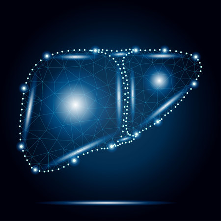 Liver polygon blue stars 2のイラスト素材