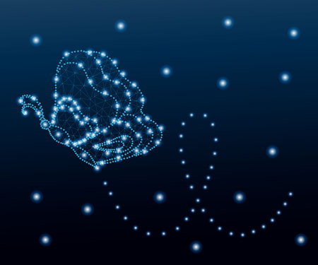 A Butterfly, polygon, blue stars 1 on realistic presentation.のイラスト素材