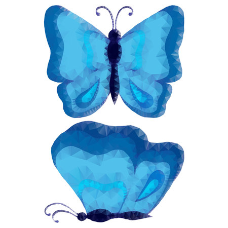 Butterflies on white background.のイラスト素材