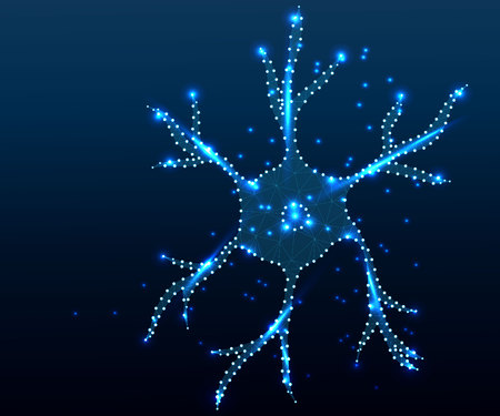 Human  nerve cell neuron, isolated with triangle, stars, dots. Low poly anatomy polygon design. Polygonal style illustration of neuron, medical design, study or concept, logo, scientific backgroundのイラスト素材
