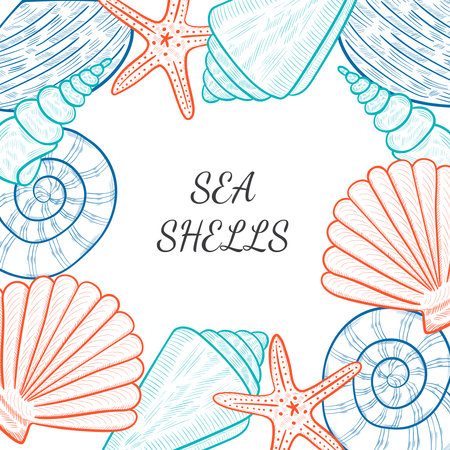 seashells, starfish border 1のイラスト素材