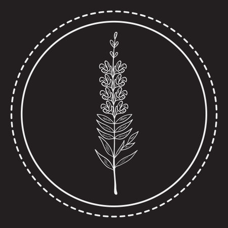 bitter herbs iconのイラスト素材