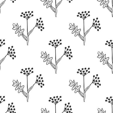 Angelica, seamless b-w dd ww herb isolのイラスト素材
