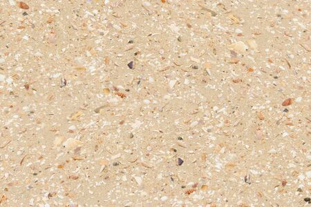Golden beach sand with small shell fragments backgroundの写真素材