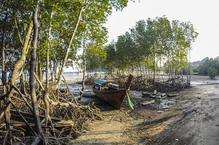 Railay Beach with traditional Thailandese Long Tail Boat - Krabi, Thailandの写真素材