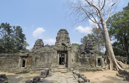Big tree on ancient Angkor ruin Temple - Siem Reap, Cambodia, Asiaのeditorial素材