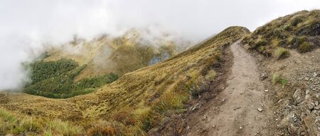 Ben Lomond Track, Queenstown, New Zealand, South Island, NZの写真素材