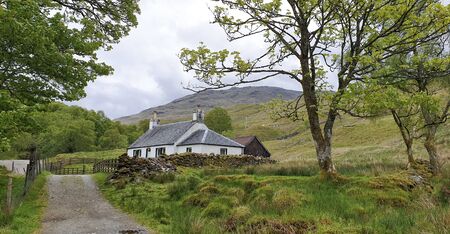 West Hiland Way Track, landscape between Loch Lomond and Bridge of Orchy, long distance hike -...
