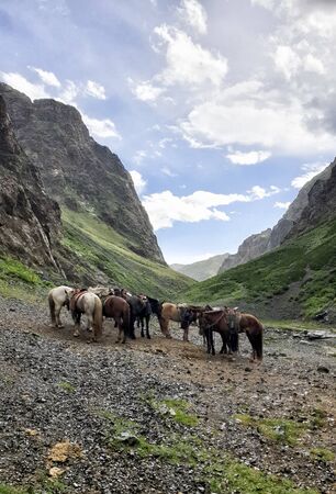 Yol Valley at the Gobi Desert, Mongoliaの写真素材