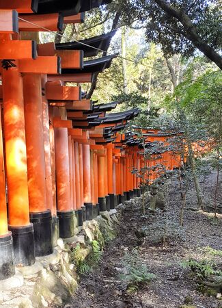 Fushimi Inari Torii at Fushimi-ku, Kyoto, Japanのeditorial素材