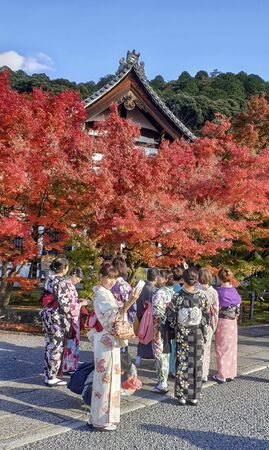 November 19, 2019: Kyoto, Japan. Woman dressed up as Geishas at the Eikando Zerin-ji Temple with...