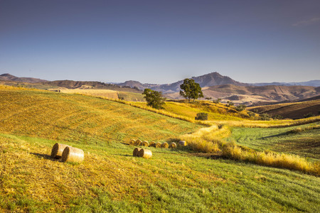 Hay bales in the countryside of central Sicilyの写真素材