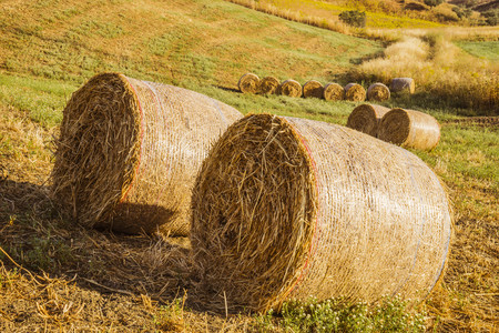 Hay bales in the countryside of central Sicily