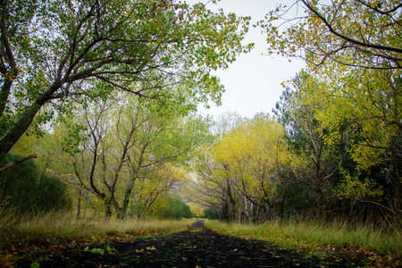 Pathway