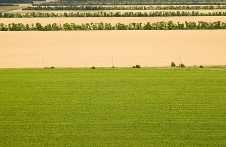 Bright fields with various crops on a background of a dark stormy sky, waters from a heightの写真素材