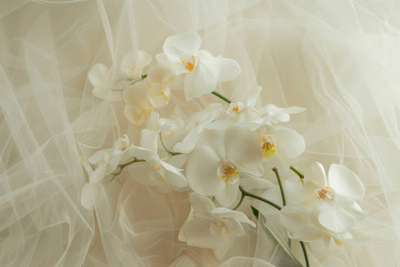 Beautiful chamomile bouquet on white fabric background.の素材
