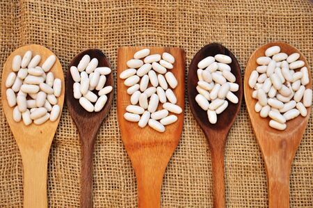 white beans legumes food on wooden spoon in the kitchenの写真素材