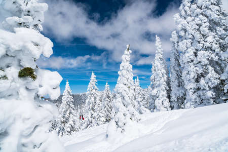 Winter wonderland snow covered landscape of the northern new Mexico Santa Fe Mountainsの写真素材