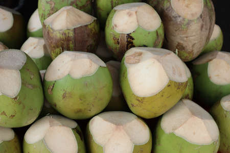Fresh Green Coconutsの写真素材