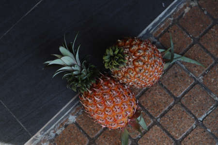 Pineapples on the floorの写真素材