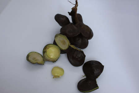 Archidendron Pauciflorum commonly known as Djenkol, jengkol or jering.の写真素材