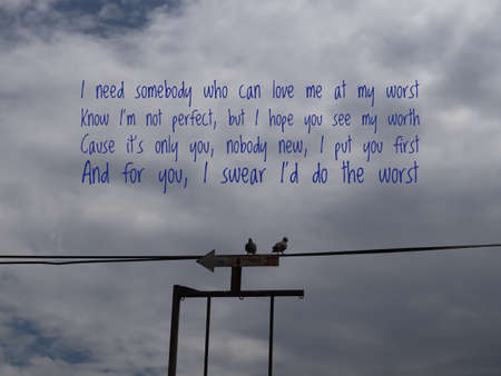 Birds and the skyの写真素材