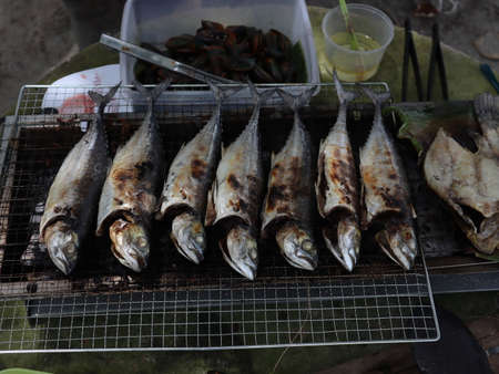 Grilled fishの写真素材