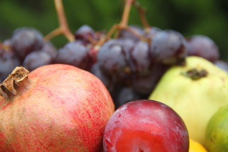 fruits