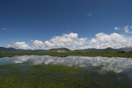 grasslandの写真素材
