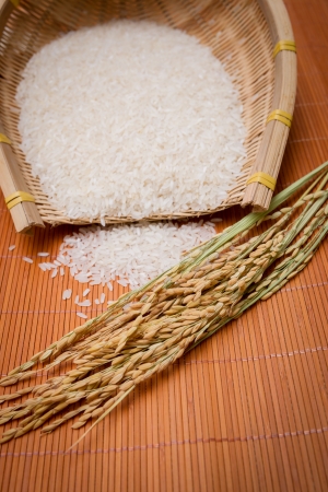 the rice on bamboo matの写真素材