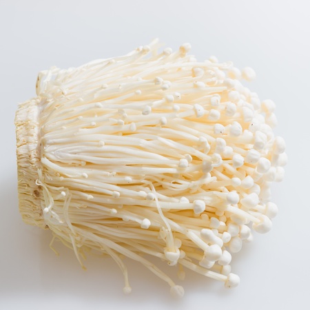 the fresh enoki mushroom on white background