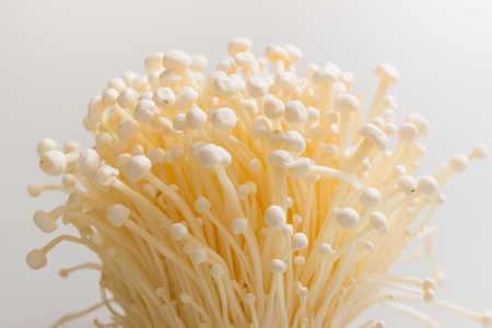 the fresh enoki mushroom on white background