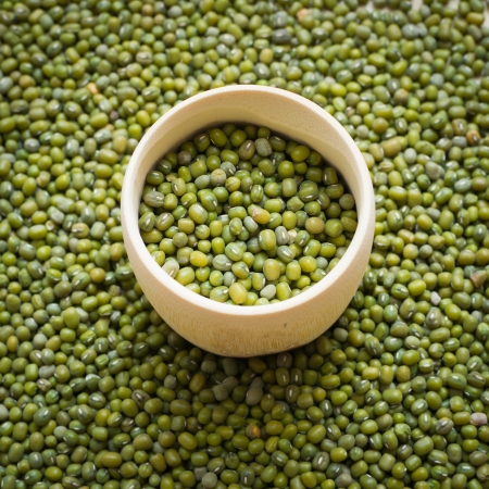mung bean in bamboo tubeの写真素材