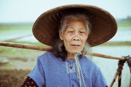 Chinese peasant working on the rice fieldの写真素材