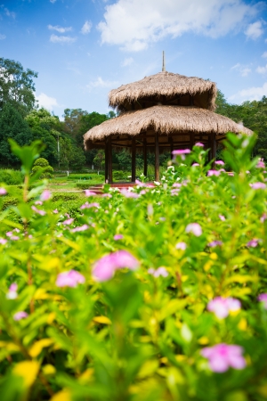 flower in front of pavilion under blue skyの写真素材