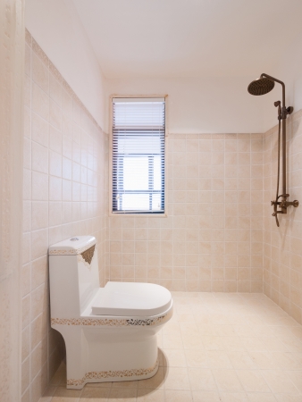 the bathroom with toilet and showerの写真素材