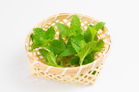 the mint in bamboo basket on white
