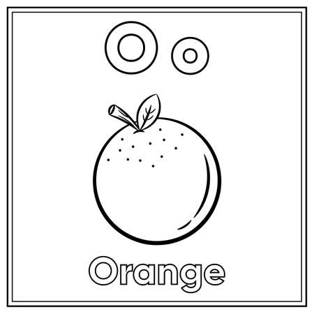 Alphabet flashcard letter O with cute orange drawing sketch for coloringのイラスト素材