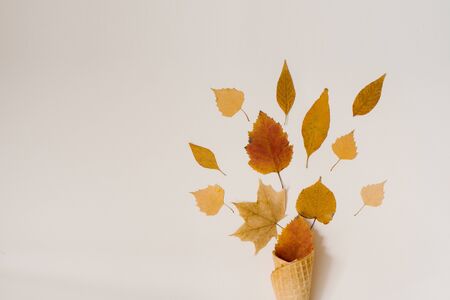 Autumn ice cream with fallen yellow leaves in a waffle Cup on a beige background. Autumn menu concept. Flat lay and copy spaceの写真素材