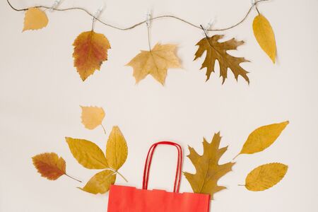 Autumn shopping with discounts. A red paper shopping bag with autumn yellow leaves peeking out of...