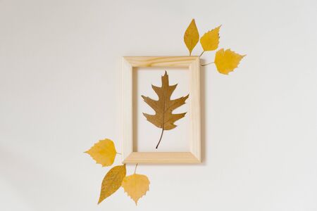 autumn composition: brown oak fallen autumn leaf in a wooden frame with yellow leaves around on a beige background. Minimalistic flat lay.の写真素材