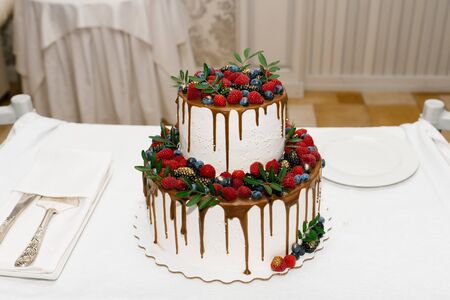 white two-tiered wedding cake with berries and smudges of ganacheの写真素材