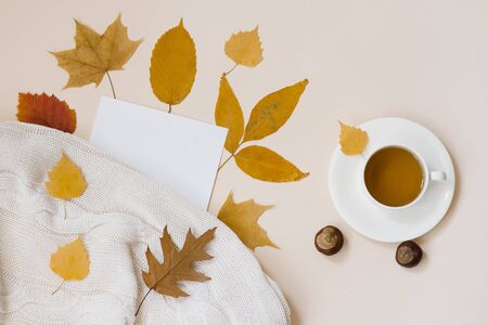 A Cup of hot black tea, autumn fallen leaves, a sheet of white blank copy space paper and a knitted white plaid on a beige background. Huge autumn flat layの写真素材