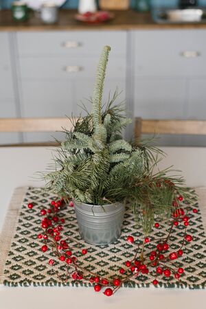 Branches of spruce or pine in a metal decorative bucket on the kitchen table, decorated for Christmas and new year, around the vase are branches with red berriesの写真素材