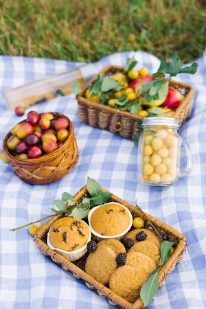 Fruit and berries in picnic baskets on a blue white checkered tablecloth on a green lawn and fresh pastries. Summer holidayの写真素材