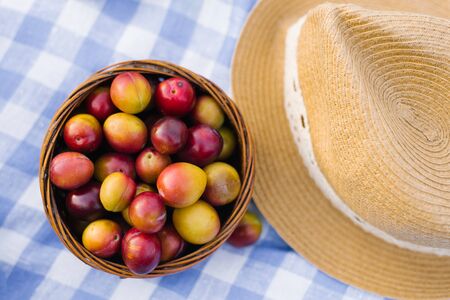Plums in a wicker basket and a straw hat on a blue-and-white checked tablecloth. The view from the...