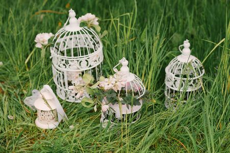 White metal bird cages with a branch of a flowering Apple tree on the green grass. Wedding spring decorの写真素材
