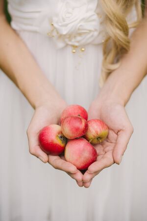 Small fresh red apples in the hands of a woman bride in a white dress.の写真素材