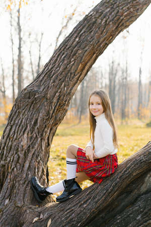 A teenage girl in a red skirt and white sweater sits on a tree in an autumn Park and smilesの写真素材